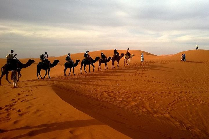 Experience the unique charm of a camel ride through golden dunes enriched by soft desert breezes and the stunning sunset perfect for capturing unforgettable memories in Dubai.